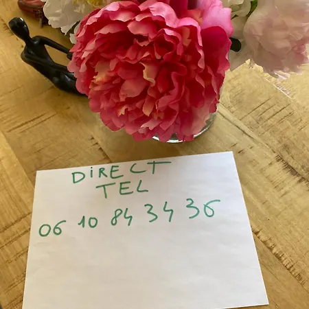 Tosca Opera Lägenhet Ajaccio (Corsica)