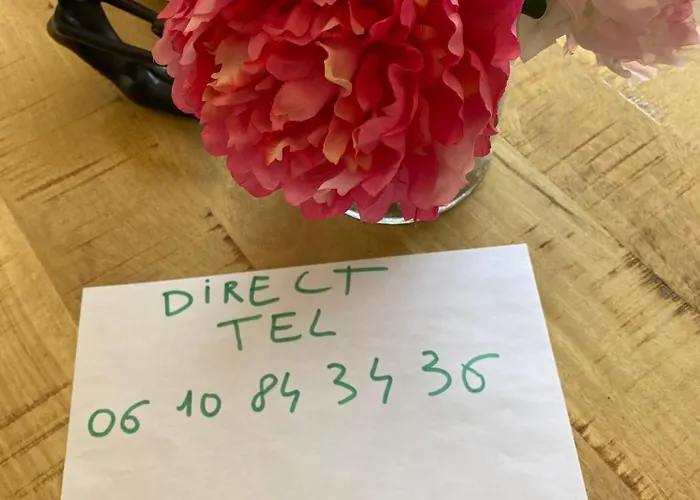 Tosca Opera Lägenhet Ajaccio (Corsica)